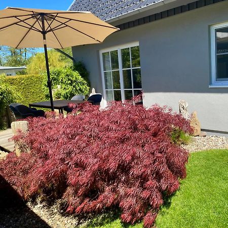 Ferienhaus Buhne 31 Prerow Buitenkant foto